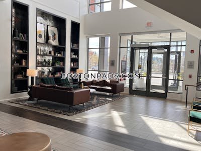 Newton Apartment for rent Studio 1 Bath  Newtonville - $3,123