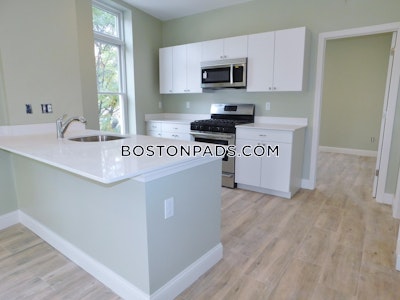 Roxbury Lovely 3 Beds 2 Baths Boston - $3,550