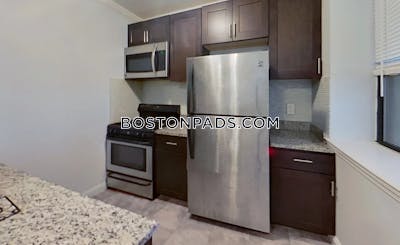 Roxbury Apartment for rent 2 Bedrooms 1 Bath Boston - $2,700 50% Fee