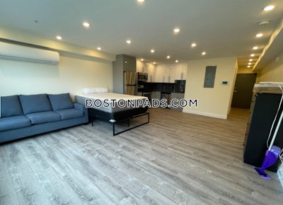 Brookline Apartment for rent Studio 1 Bath  Boston University - $2,900