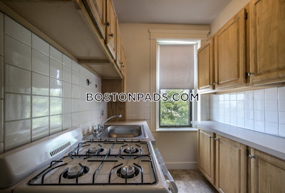 Allston Apartment for rent Studio 1 Bath Boston - $2,250 50% Fee