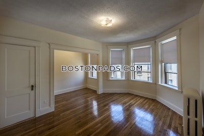 Allston Apartment for rent 1 Bedroom 1 Bath Boston - $2,950