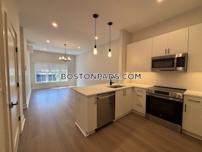 Brighton Apartment for rent 1 Bedroom 1 Bath Boston - $3,800