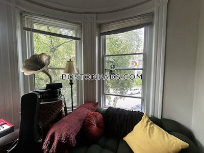 Brighton Apartment for rent 1 Bedroom 1 Bath Boston - $2,895