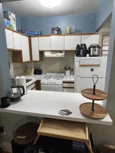 Allston Apartment for rent 1 Bedroom 1 Bath Boston - $2,575