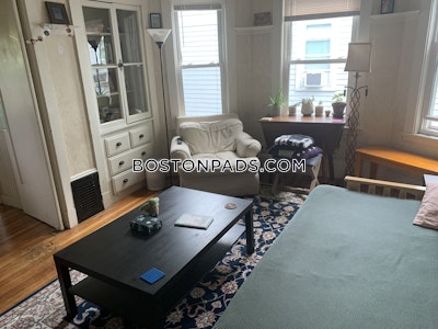 Brighton Apartment for rent 3 Bedrooms 1 Bath Boston - $3,300