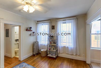 Allston Apartment for rent 1 Bedroom 1 Bath Boston - $2,495 No Fee
