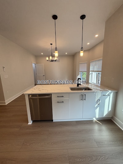 Brighton Apartment for rent 2 Bedrooms 1 Bath Boston - $4,700