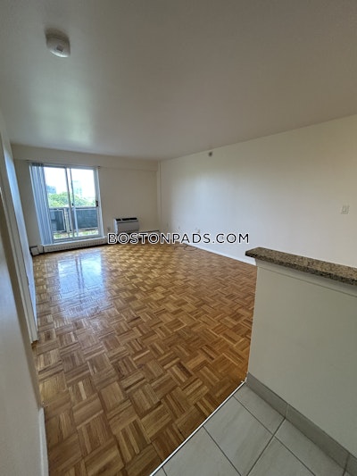 Brookline Apartment for rent 2 Bedrooms 1.5 Baths  Boston University - $3,800 No Fee