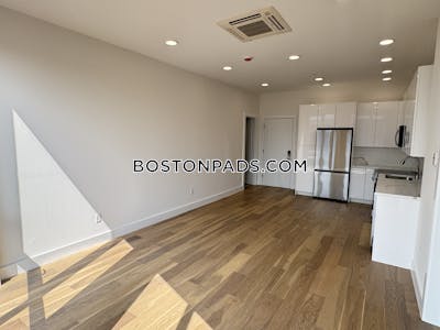 Brighton Apartment for rent 1 Bedroom 1 Bath Boston - $3,100 No Fee