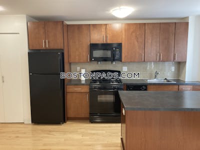 Brighton Apartment for rent 1 Bedroom 1 Bath Boston - $2,790 No Fee