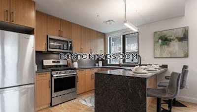 Allston Apartment for rent 2 Bedrooms 2 Baths Boston - $4,675 No Fee
