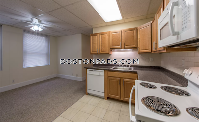 Allston Apartment for rent 1 Bedroom 1 Bath Boston - $2,500 No Fee