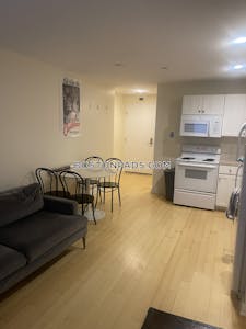 Downtown Apartment for rent 1 Bedroom 1 Bath Boston - $2,995 No Fee