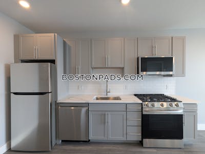 Brighton Apartment for rent 1 Bedroom 1 Bath Boston - $3,400 No Fee