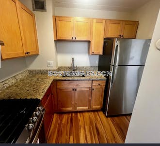 South End Apartment for rent 1 Bedroom 1 Bath Boston - $3,000 No Fee
