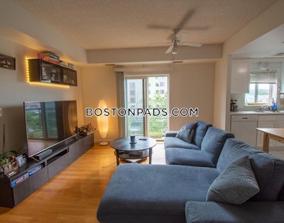 Cambridge Apartment for rent 2 Bedrooms 2 Baths  Mt. Auburn/brattle/ Fresh Pond - $3,400 No Fee