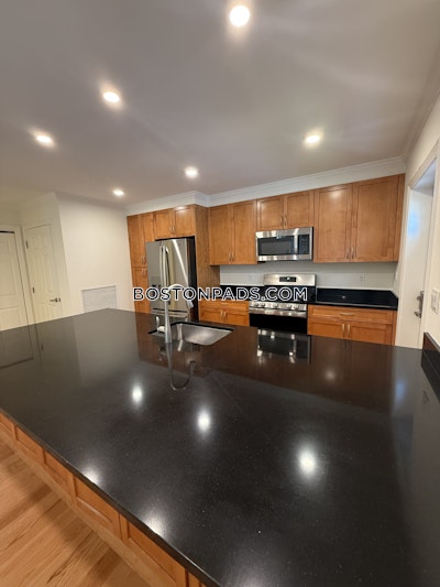 Brookline 3 bedroom 2.5 baths in BROOKLINE  Chestnut Hill - $5,895 No Fee