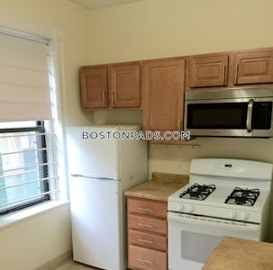 Allston Apartment for rent 1 Bedroom 1 Bath Boston - $2,600