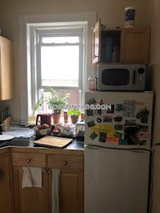 Allston Apartment for rent 1 Bedroom 1 Bath Boston - $2,920