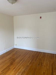 Brighton Apartment for rent 1 Bedroom 1 Bath Boston - $2,650 No Fee
