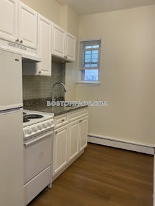 Jamaica Plain Apartment for rent Studio 1 Bath Boston - $1,800 No Fee