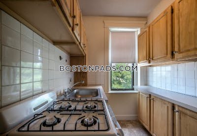 Allston Apartment for rent 1 Bedroom 1 Bath Boston - $2,475 No Fee