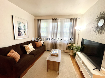 Brighton Apartment for rent 1 Bedroom 1 Bath Boston - $4,500