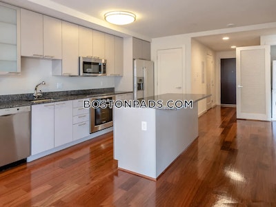 West End Apartment for rent Studio 1 Bath Boston - $2,945