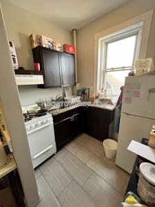 Allston Apartment for rent 1 Bedroom 1 Bath Boston - $2,790