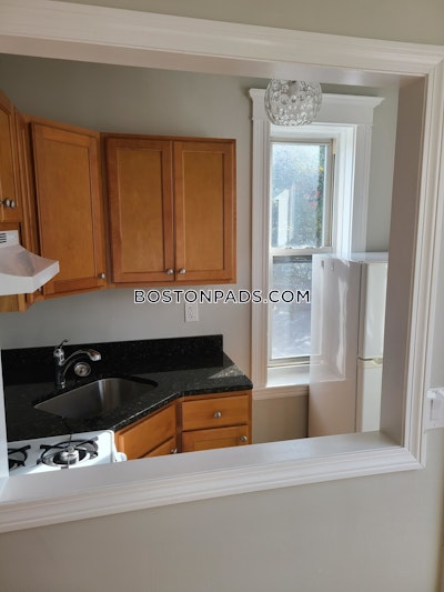 Allston Apartment for rent 1 Bedroom 1 Bath Boston - $2,360