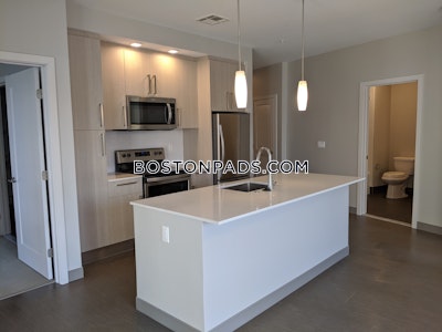 Jamaica Plain Apartment for rent 2 Bedrooms 2 Baths Boston - $3,735