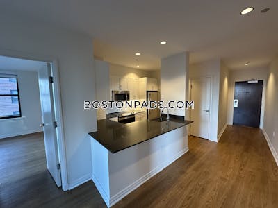 Downtown Apartment for rent 2 Bedrooms 2 Baths Boston - $5,117