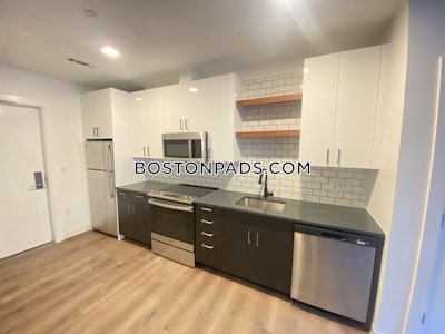 Allston Apartment for rent 2 Bedrooms 2 Baths Boston - $4,251 No Fee